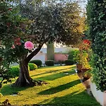 Dammusello * Марсала
