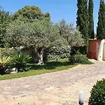 Dammusello