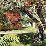 וילה Dammusello