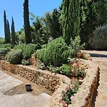 Dammusello